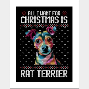 All I Want for Christmas is Rat Terrier - Christmas Gift for Dog Lover Posters and Art